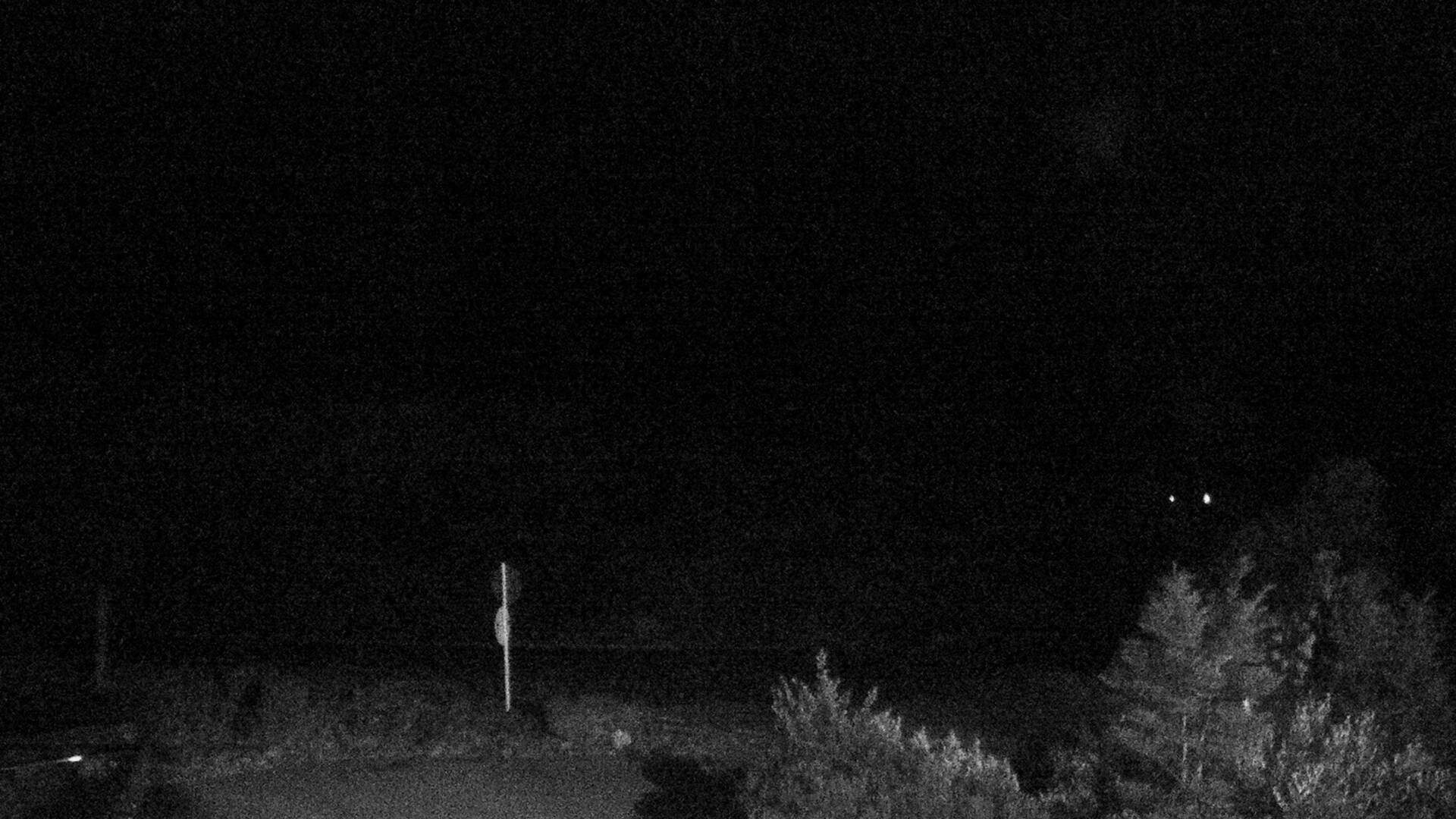 View towards the Hooker Valley Webcam